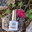 Born pretty uv gel 10 ml